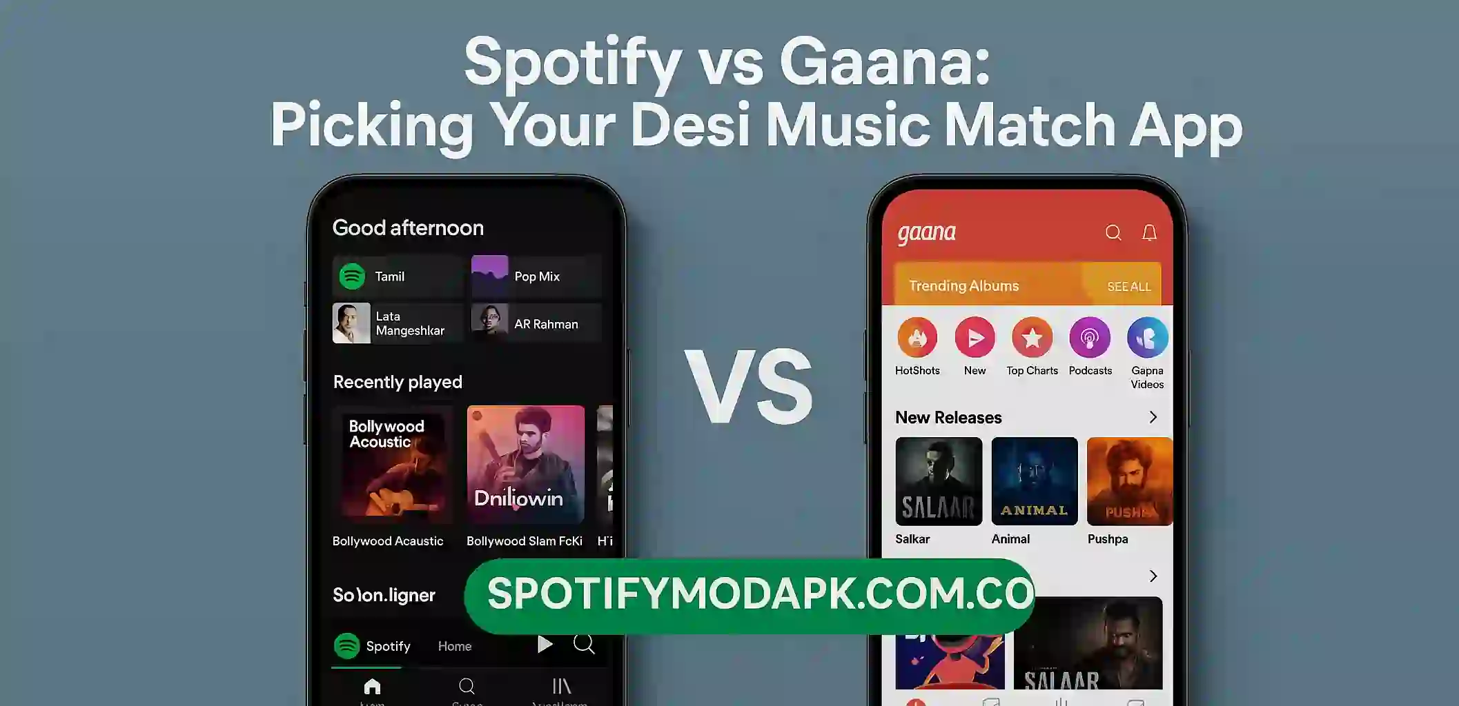 Spotify vs Gaana Picking Your Desi Music Match App