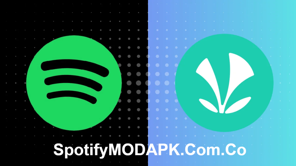 Spotify vs JioSaavn